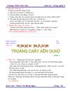 Giáo án trồng cây ăn quả mới