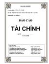 Báo cáo tài chinh doanh nghiệp 2008