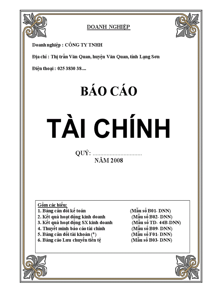 Báo cáo tài chinh doanh nghiệp 2008