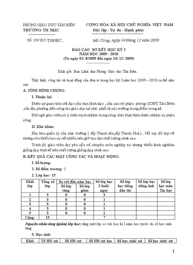 Bao cao so ket hoc ki I 2009 2010