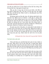 Cam nang an toan suc khoe 894 pdf