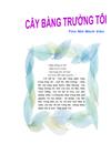 Cây bàng