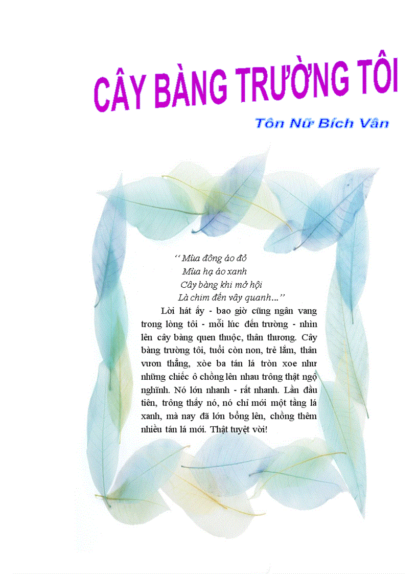 Cây bàng