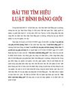 Bài dự thi luật Bình đẳng giới 1