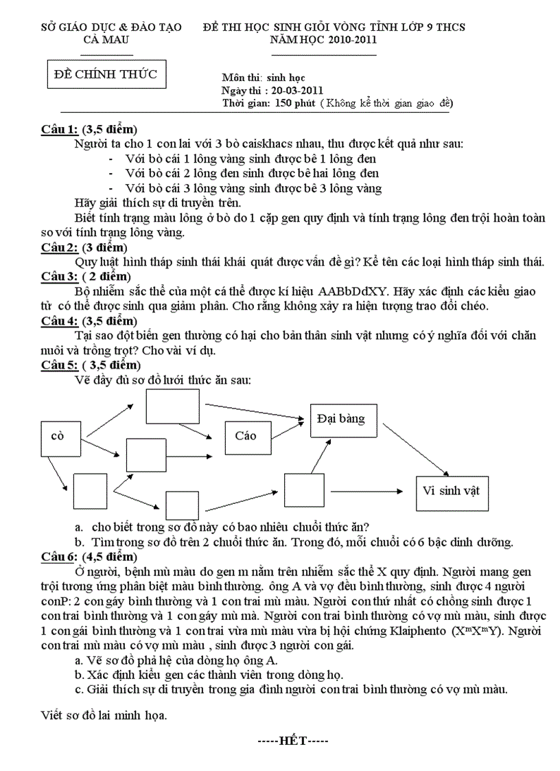 Đề thi hsg vòng tỉnh môn sinh học 9