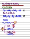 Hướng dẫn ôn thi môn hóa phần co2