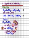 Hướng dẫn ôn thi môn hóa phần co2