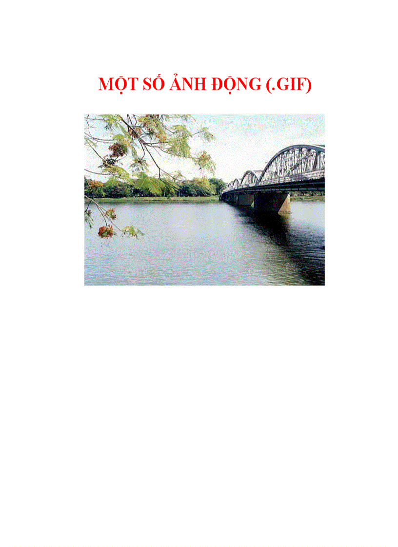 Kho Ảnh Dộng