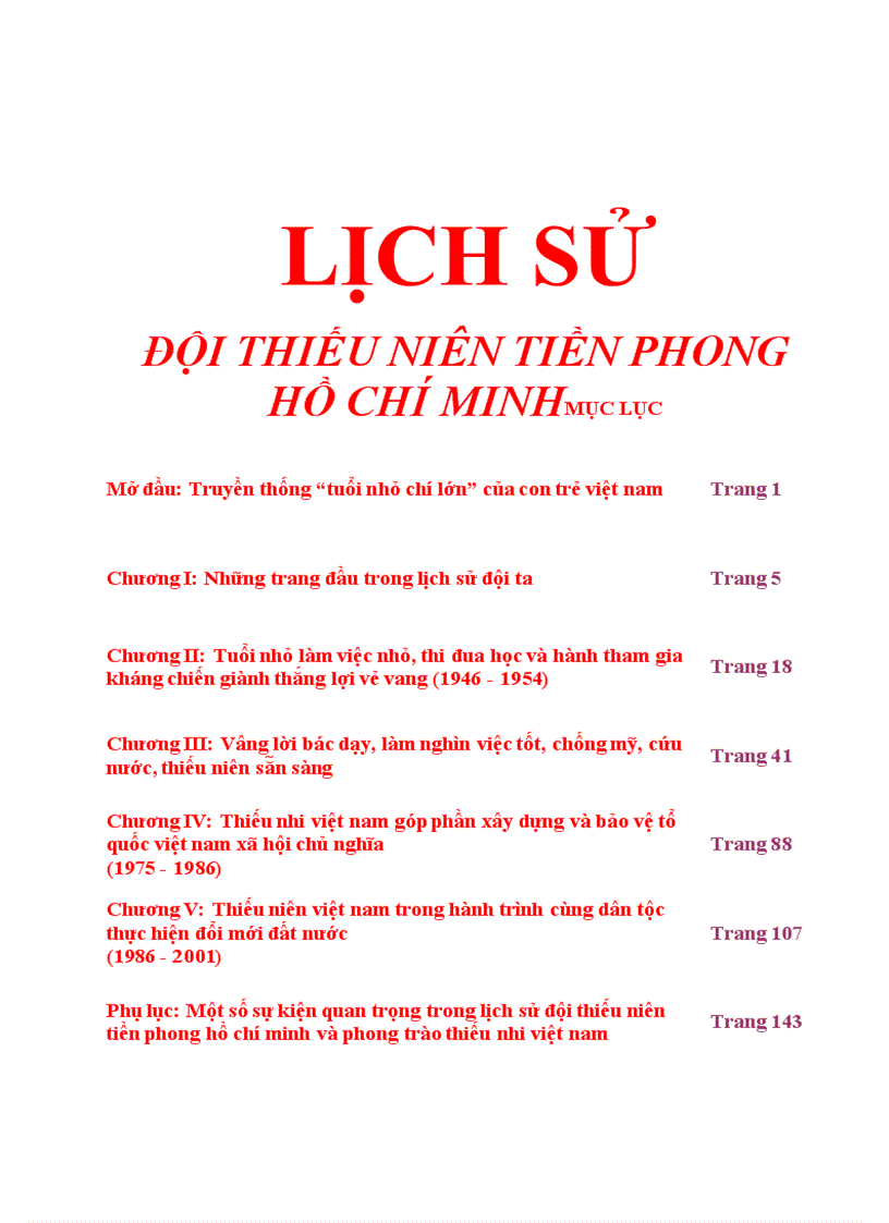 Lịch sử Đội TNTP HCM