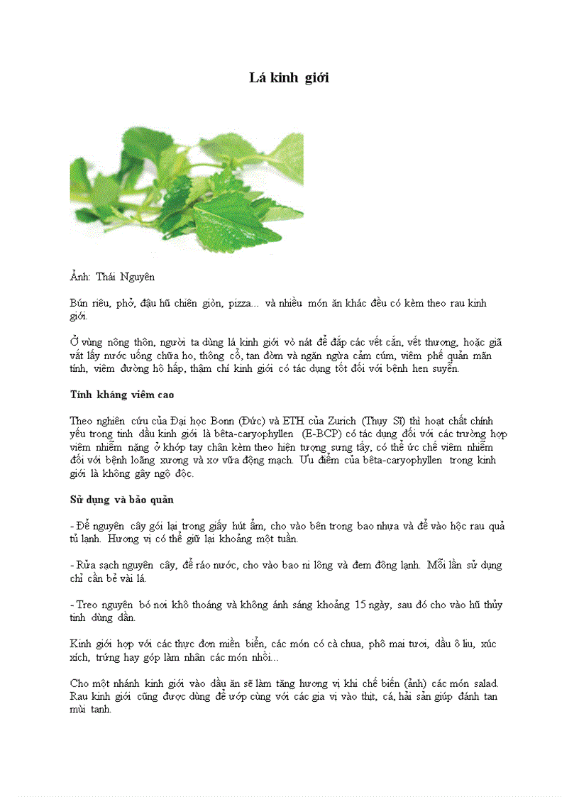 Lá kinh giới