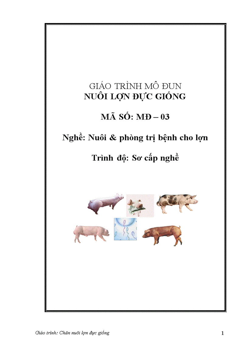 Kỷ thuật chăn nuôi lợn đực giống