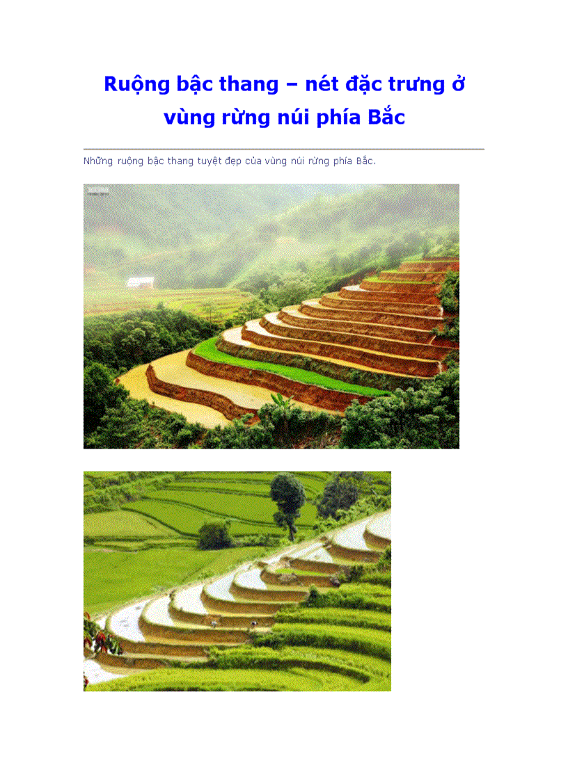 Ruộng bậc thang Nét đặc trưng ở vùng núi rừng phía Bắc Việt Nam