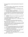 Sakien21