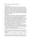 Sakien26