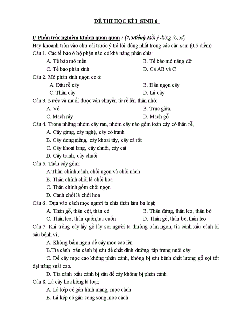 Đề thi sinh 6 1