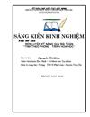 Sang kien kinh nghiem 2010