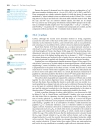 Ch19 The MGroup chemistry