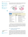 Ch19 The MGroup chemistry