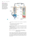 Ch13 Equilibrium