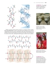 Ch24 Bioorganic chemistry