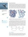 Ch24 Bioorganic chemistry