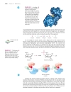 Ch24 Bioorganic chemistry