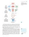 Ch24 Bioorganic chemistry