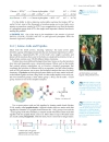 Ch24 Bioorganic chemistry