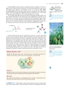 Ch24 Bioorganic chemistry