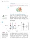 Ch24 Bioorganic chemistry