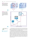 Ch17 Thermodynamics