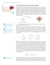 Ch07 Covalent bonds Molecular Structure