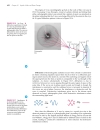 Ch10 Liquids Solids Phase changes