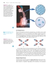 Ch10 Liquids Solids Phase changes