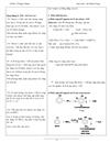 Phenol cb