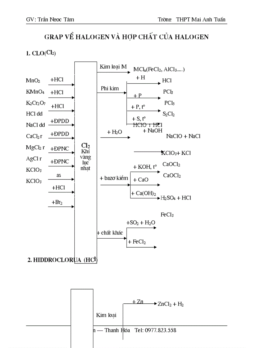 Grap nhóm Halogen hay số 1