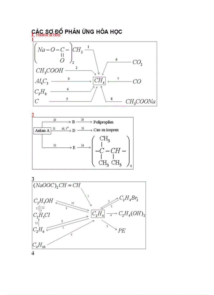 SƠ ĐỒ CHUỖI PHẢN ỨNG HƯU CƠ phần 1