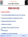 Động hóa học