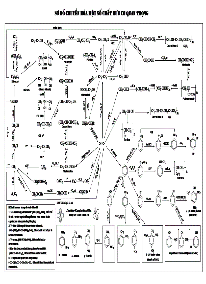 Sơ đồ chuyển hóa các chất hữu cơ