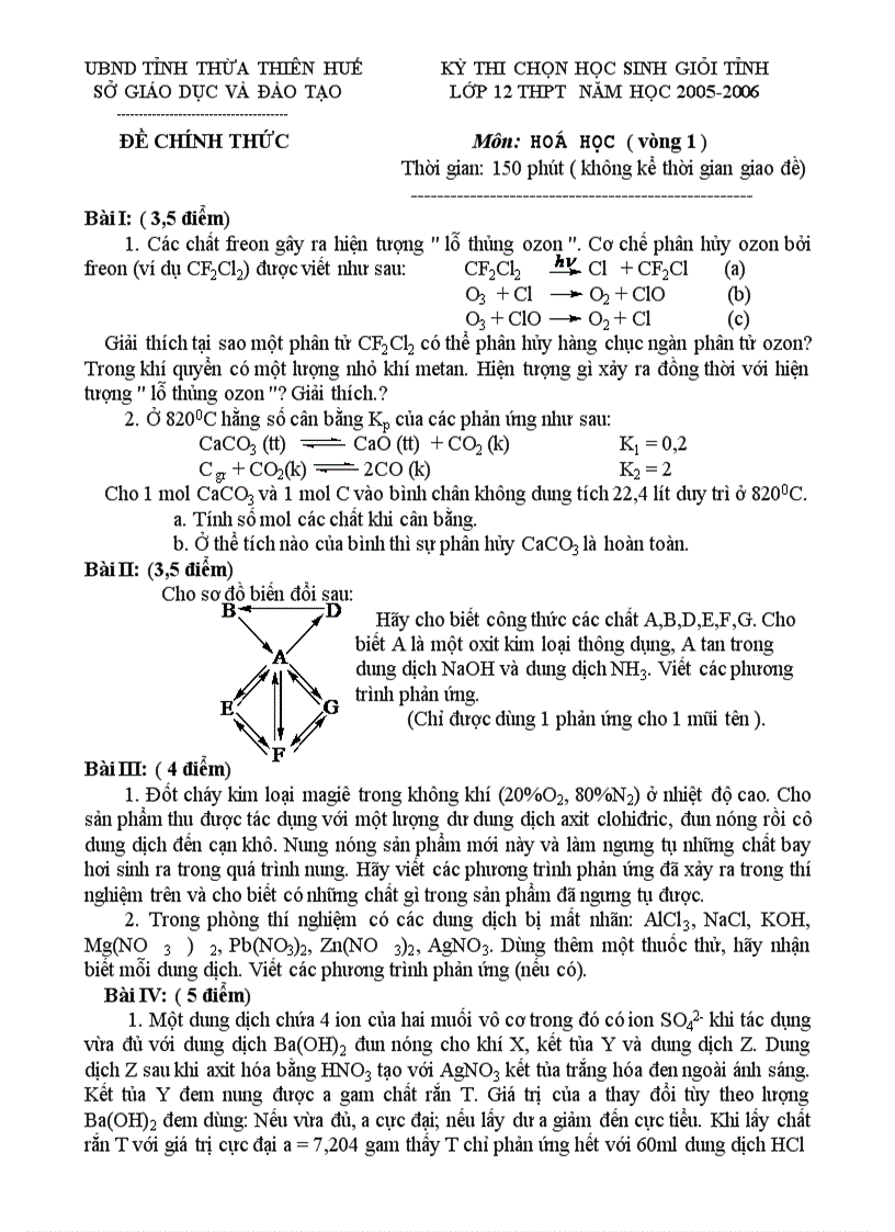 Đề thi chọn HSG Hoá L12 THPT V1 05 06