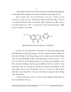 Luận văn thạc sỹ Hóa học 2