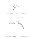 Luận văn thạc sỹ Hóa học 2