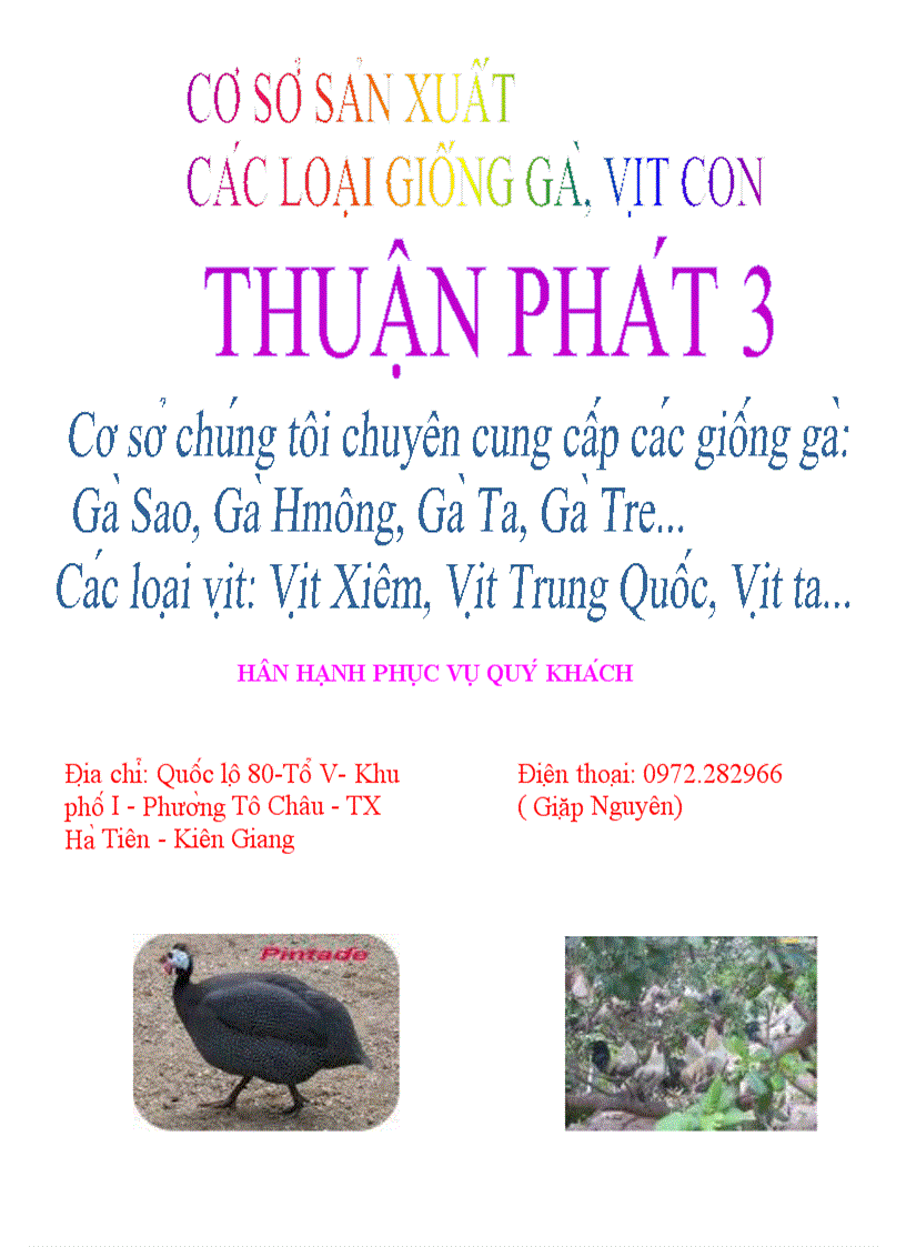 Phát triển kinh tế