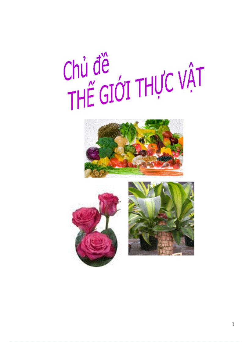 Chủ đề TGTVật