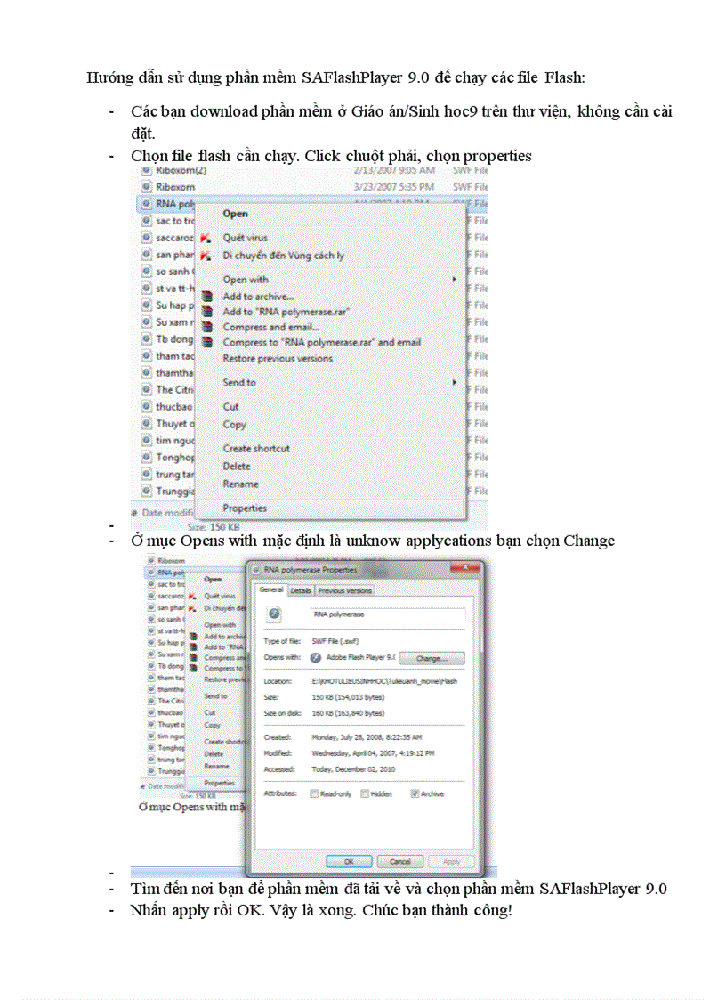 Hướng dẫn Download và sử dụng phần mềm chạy file Flash