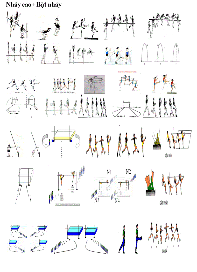 Hình thể dục THCS