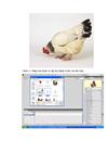 Sáng tạo một số trò chơi cho trẻ mầm non ứng dụng bằng phần mềm Flash