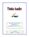 Tiểu luận Tốt nghiệp ĐHSP Toán hệ TC