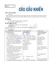 Cau cau khien