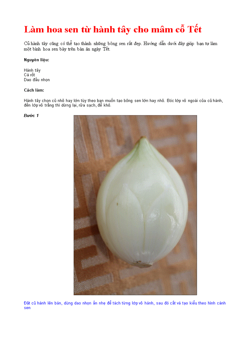 Khéo tay Tạo hoa sen